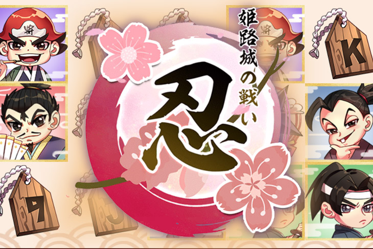 Мастер ниндзя